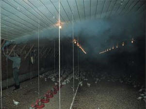 Chicken Farm Vent Testing