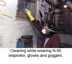 InspectUSA cleaning mold