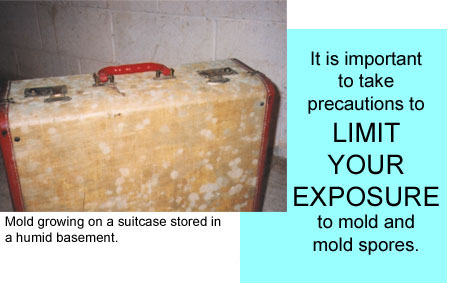moldy suitcase